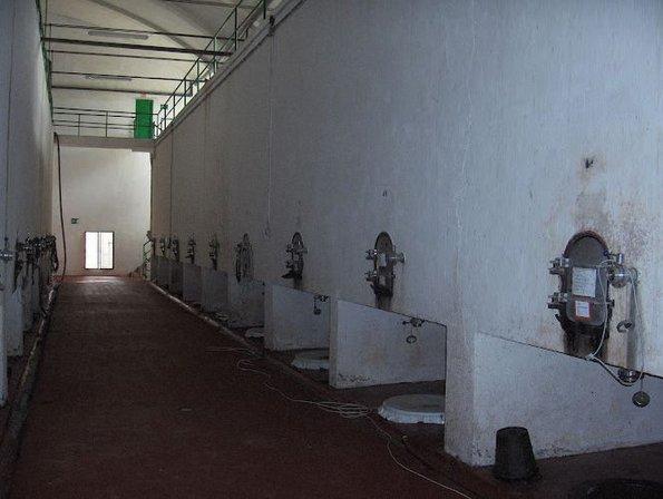 SANTA MARÍA MAGDALENA