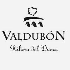 Bodegas Valdubón - Ribera del Duero