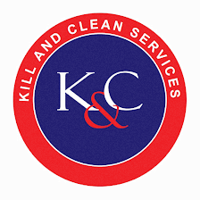 KYCSERVICIOS