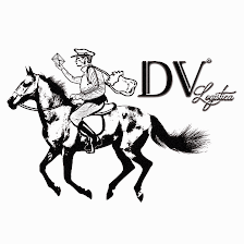 DV LOGISTICA