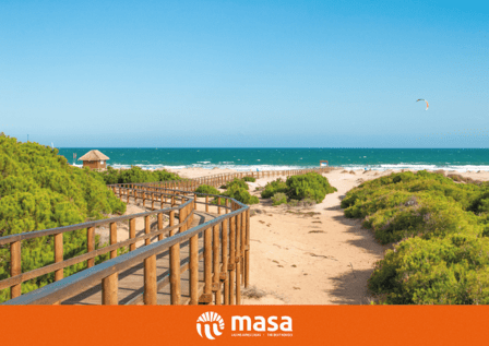 MASA - Las mejores casas