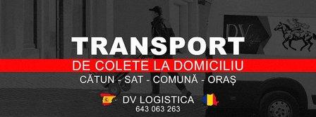 DV LOGISTICA