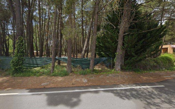 Camping "El Pinar"