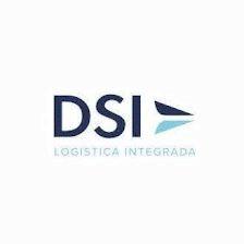 DSI2010 S.L.
