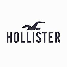 Hollister Co.