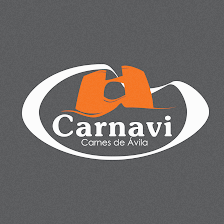 Carnavi