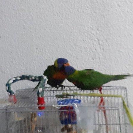 Tienda