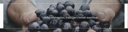 Bodegas y Viñedos Luis Mariscal