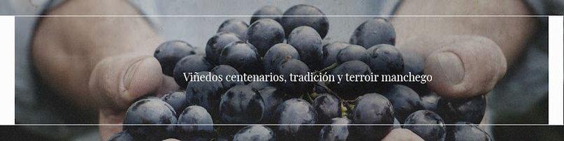 Bodegas y Viñedos Luis Mariscal