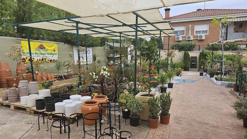 VIVERO MARIETA