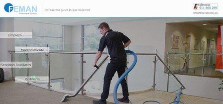femanservices