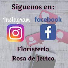 Floristería Rosa de Jericó