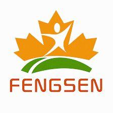Fengsen Outdoor Leisure