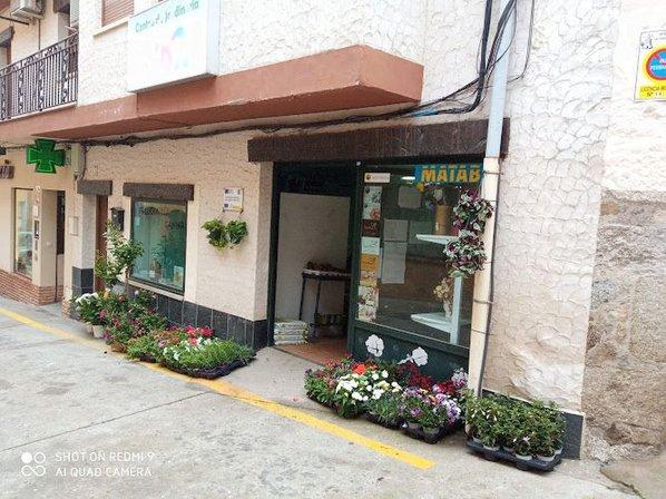 Centro de Jardineria VIDA