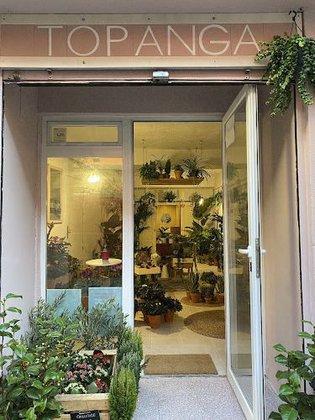 TOPANGA planteria - Flores y Plantas Madrid