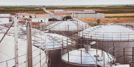 BODEGAS DOÑASOL - San Isidro, Soc.Coop. de CLM