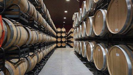 Bodegas Traslascuestas S.L.