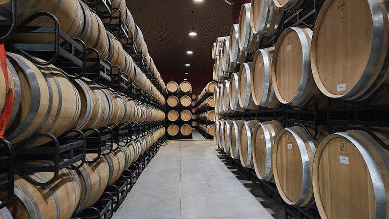 Bodegas Traslascuestas S.L.