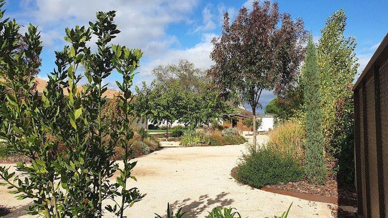 Iglesias Jardinería y Paisaje