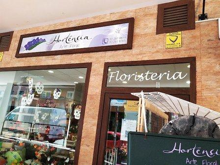 Hortensia Art Floral