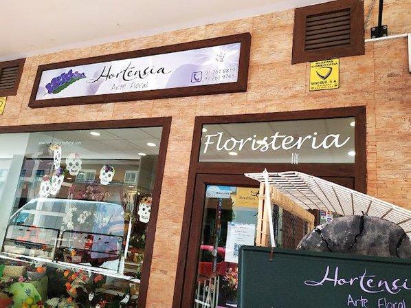 Hortensia Art Floral
