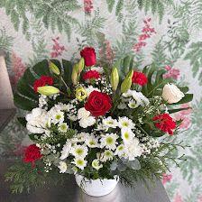 Flores Y Plantas Loli