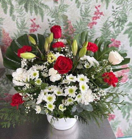 Flores Y Plantas Loli