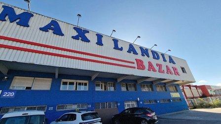 Maxilandia