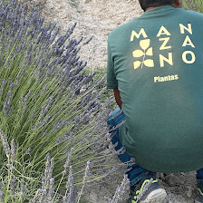 PLANTAS MANZANO