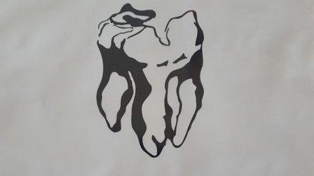 Laboratorio dental A2