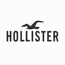 Hollister Co.