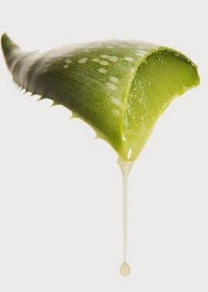 Aloe y Salud