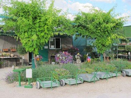 Vivero Oro Verde