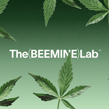 The Beemine Lab