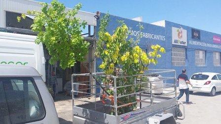 Agrogardening