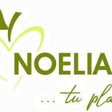 Plan de Nutrición - Noelia Andrés