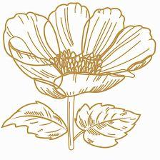 Flores de Cavia
