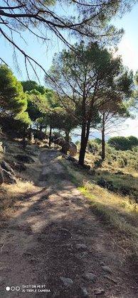 Maderas La Cima