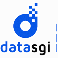 Data Servicios Generales De Informática Sll