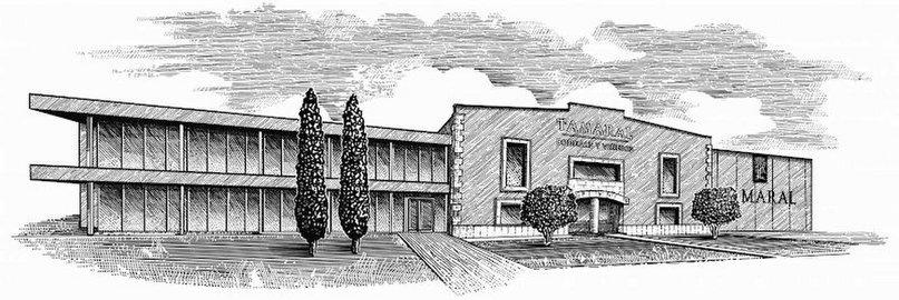 Bodegas y Viñedos Tamaral