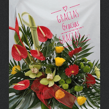 Floristería Gladys