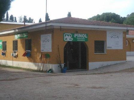 Pinol Shop Horse (Venta La Rubia)
