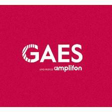 GAES Móstoles Constitución
