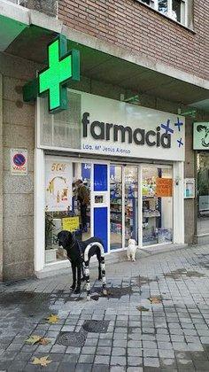 Farmacia Alonso