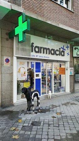 Farmacia Alonso