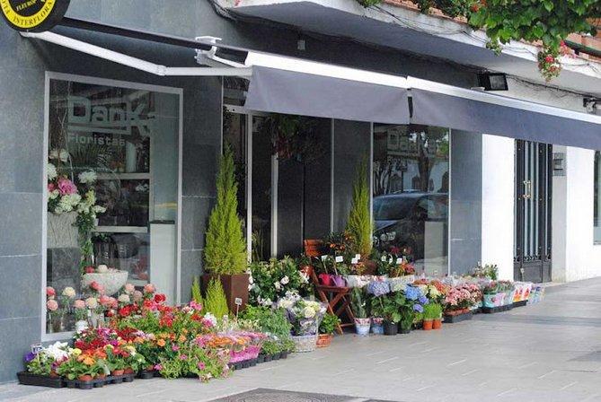 Danka Floristas