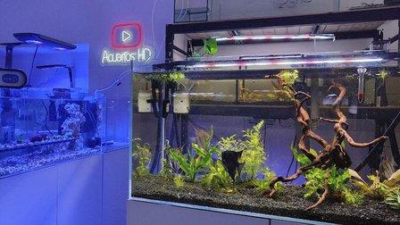 Tienda de Acuarios Marinos y Agua Dulce . ( NO VENDEMOS ANIMALES - SOLO PRODUCTOS )