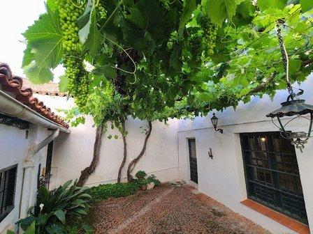 Casa San Roque