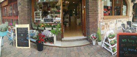 Floornaturaté (Lola&Laura) Floristería, tienda de té y productos gourmet