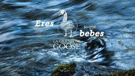 Cerveza La Granja de Goose